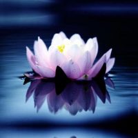 becoming truly meditative