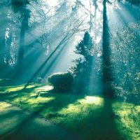 Entanglement or Liberation