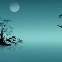 Neither Good or Bad – Just Silent