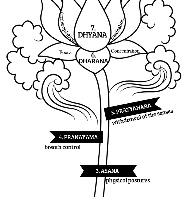 8 Limbs of the Yoga Sutras