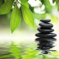 Cultivate the Gift of Mindfulness