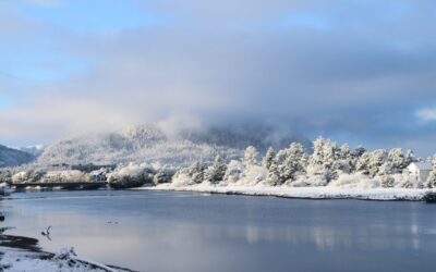 Estuary